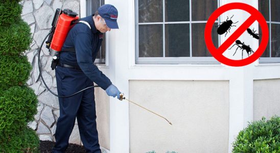 Çal Gümüşkurt İlaçlama böcek ilaçlama ve haşere kontrolü — ilaclama-tr.com